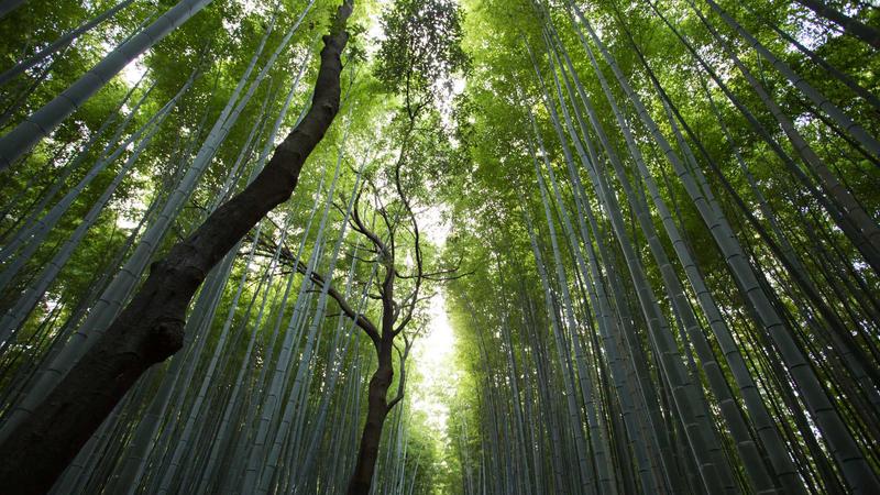 亿万28游戏产品特性与优势展示